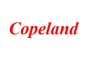 Copeland valve